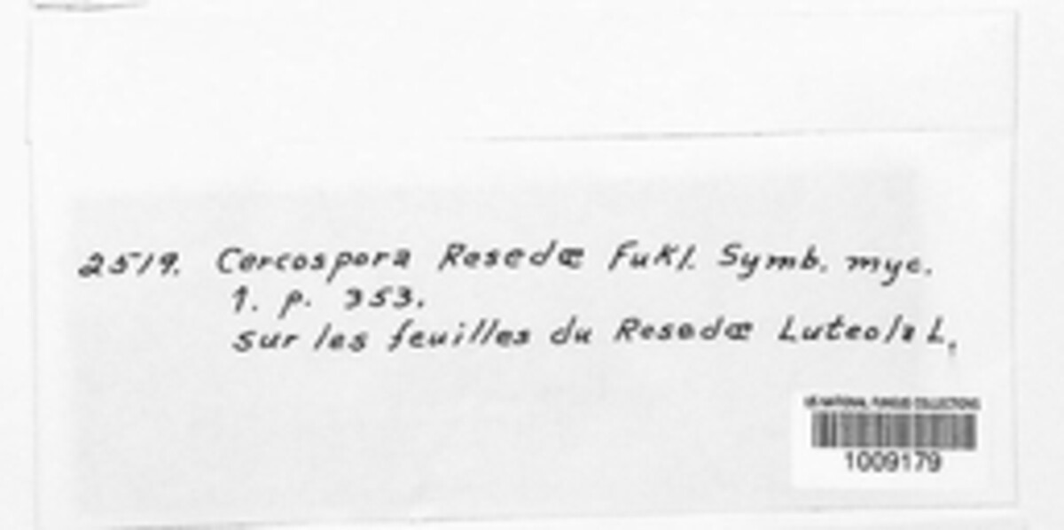 Cercospora resedae image
